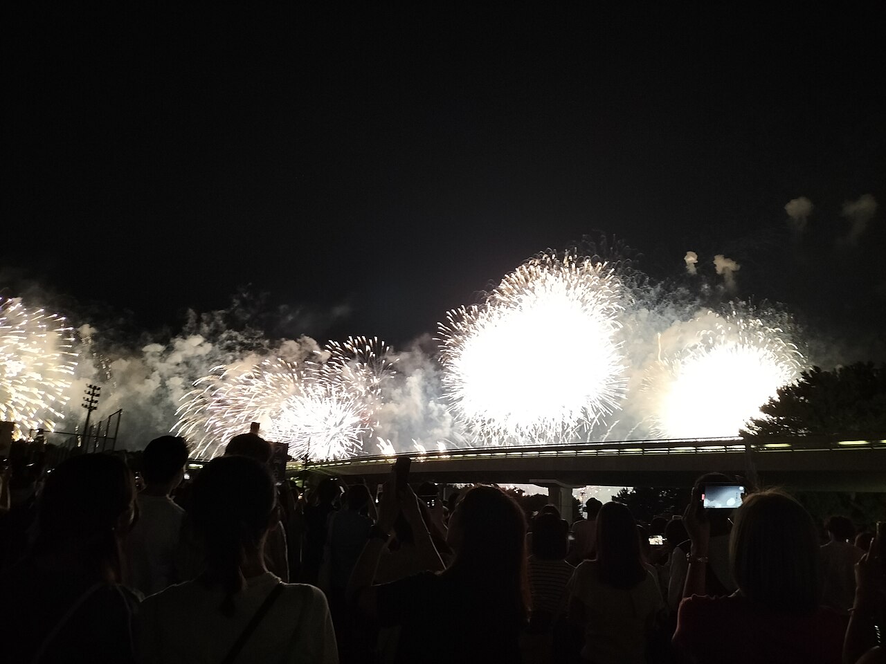 江戸川区花火大会の色とりどりの打ち上げ花火（出典: フリー素材ぱくたそ）