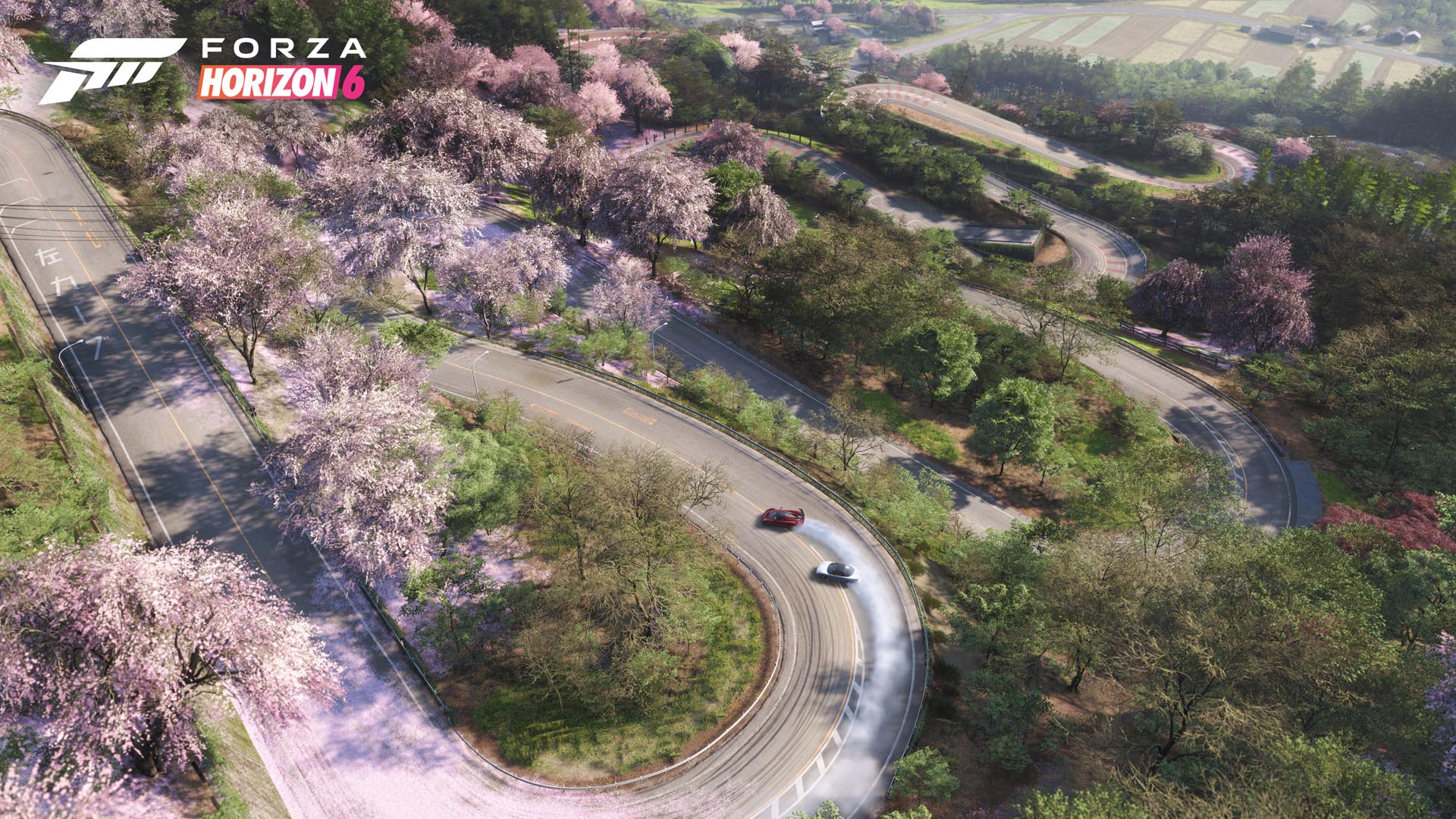 峠道ドライブシーン