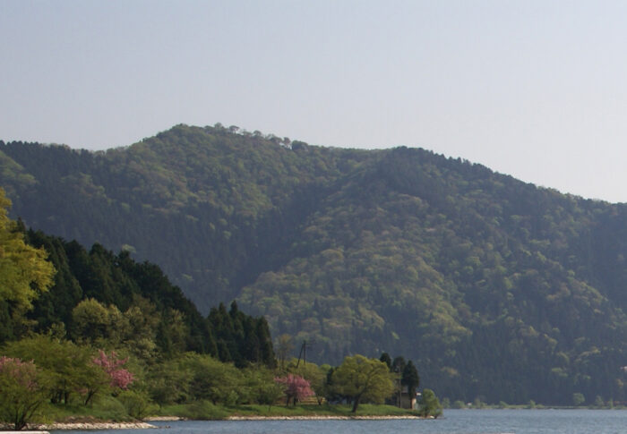 「賤ヶ岳の七本槍」は本当に7人だったのか｜メンバーとその後の運命