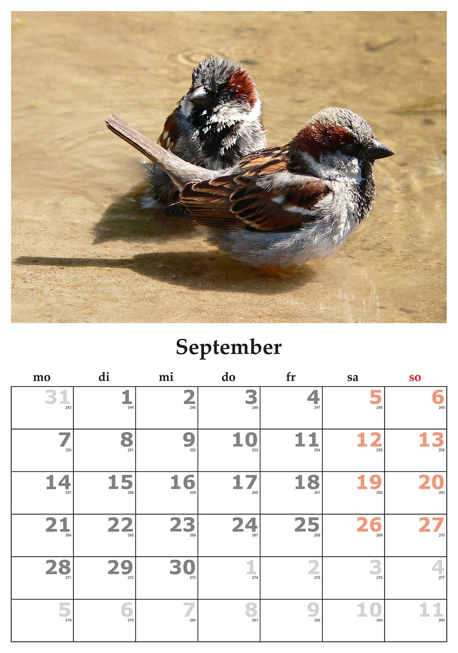 9月のカレンダー