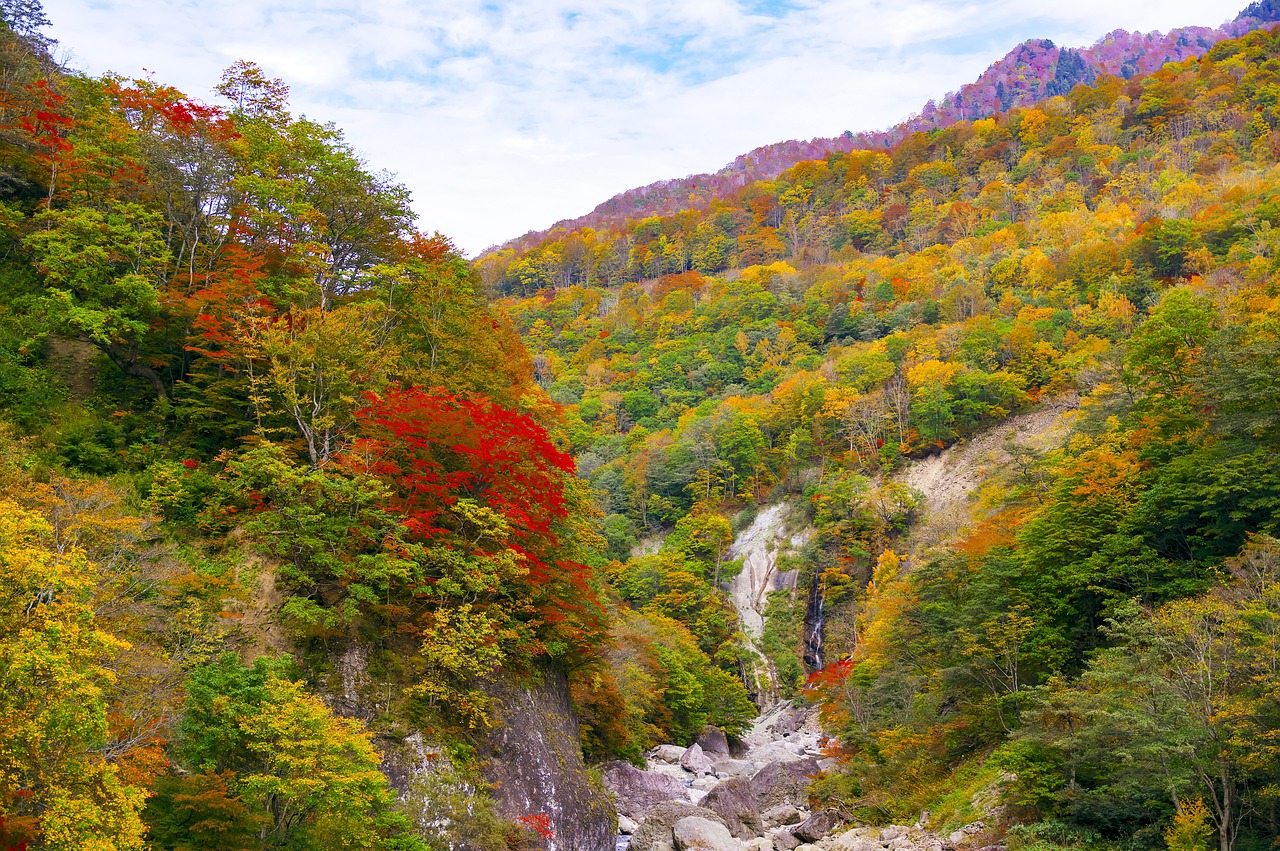 日本の紅葉の山あい風景(出典: Pixabay / sayama)