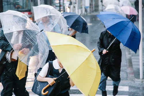 【8月8日時点】ドコモが台風13号で圏外に｜沖縄・鹿児島で繋がらない時の対処法5選