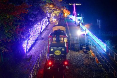 光の幻想列車で夜間ライトアップの中を走るトロッコ列車