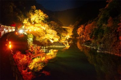 嵯峨野トロッコ『光の幻想列車』2026はいつ？日程・アクセス・混雑を徹底ガイド【現行車両では今年が最後】