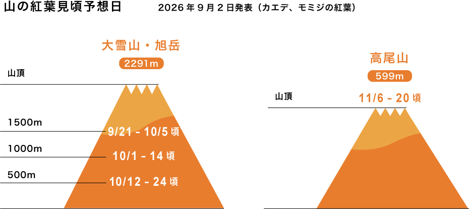 大雪山旭岳と高尾山の標高別 山の紅葉見頃予想日グラフ