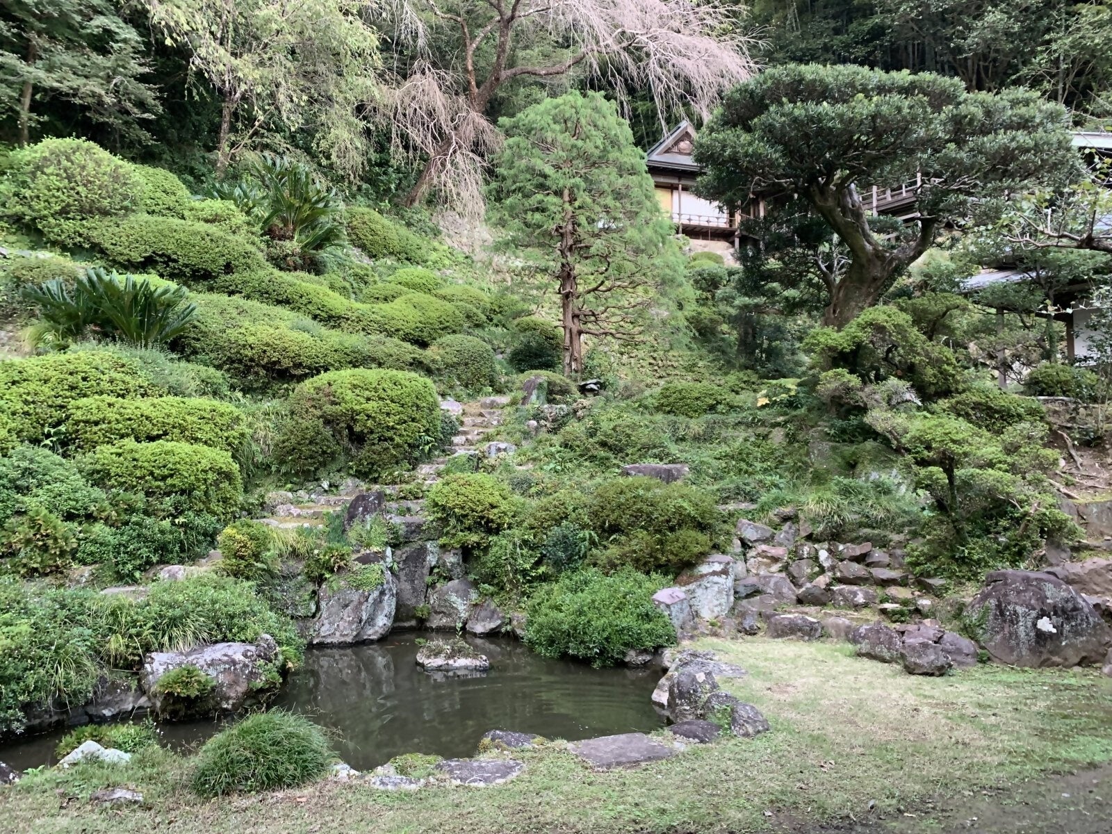 臨済寺庭園（国指定名勝）