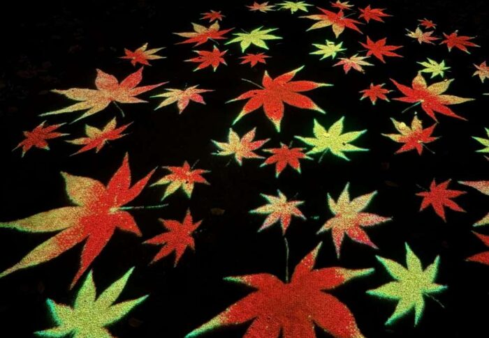 六義園の紅葉2026はいつ見頃？ライトアップ日程・アクセス・混雑回避まとめ【9月28日時点】