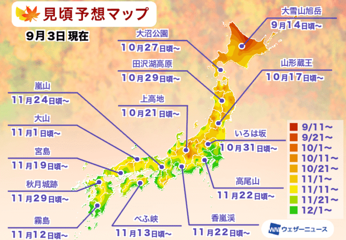 紅葉見頃予想2026はいつ？【9月5日時点】東京11/29・大阪12/4・嵐山11/24など全国の紅葉前線とアクセスまとめ