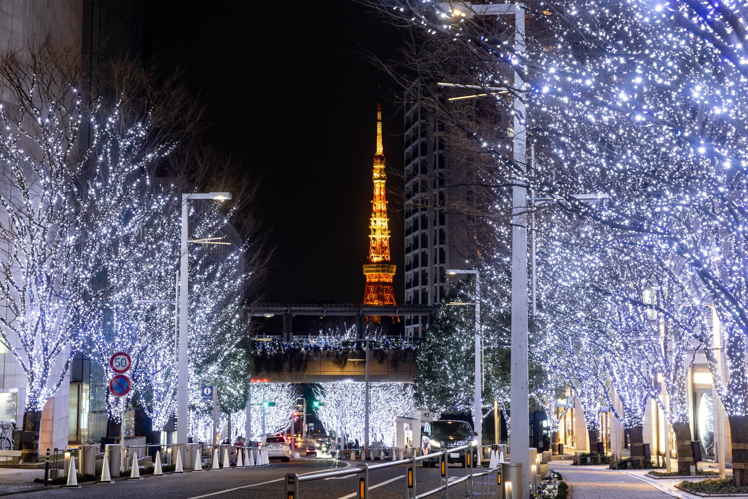 けやき坂を彩る「Roppongi Hills Christmas 2025」のイルミネーション