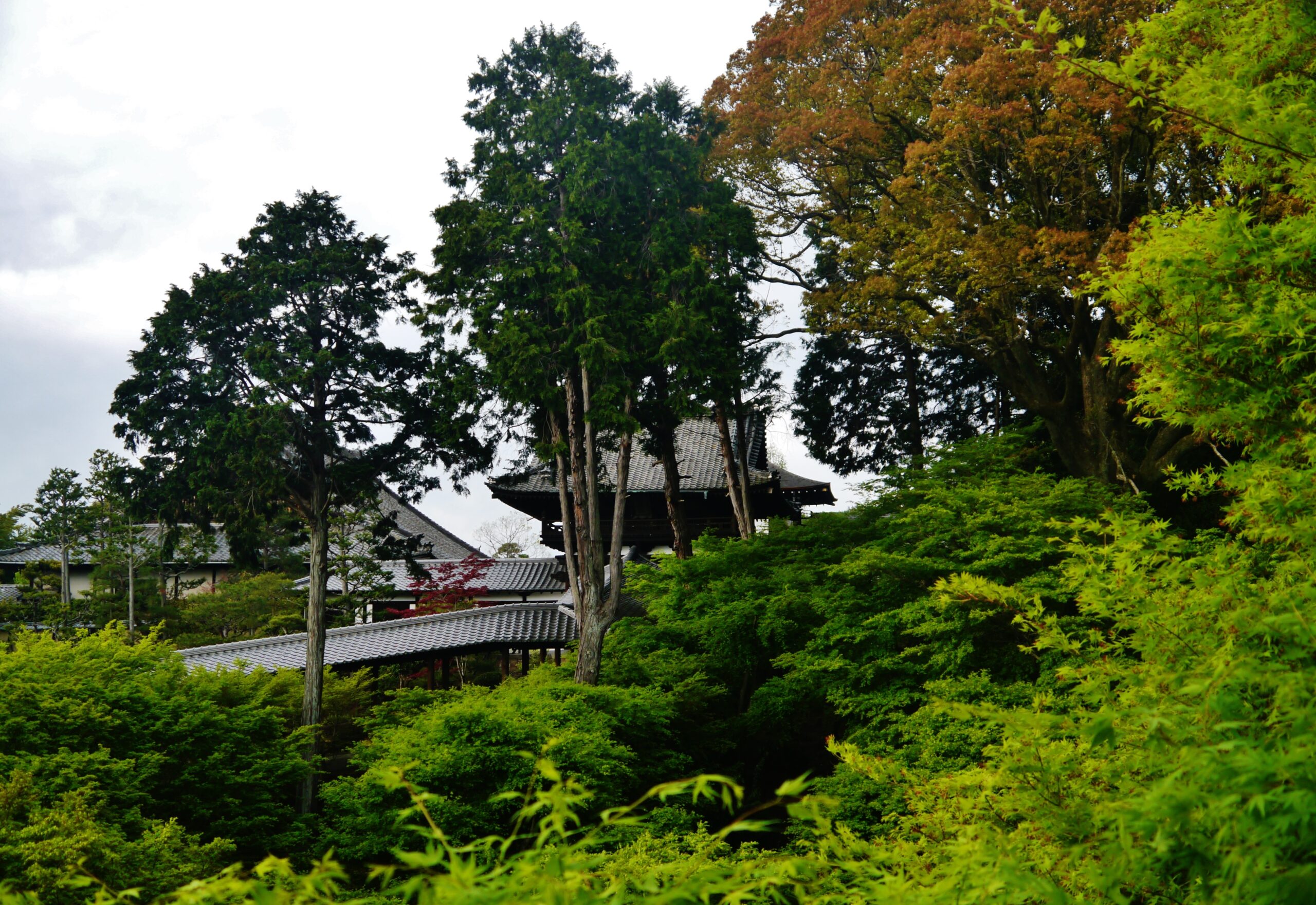 東福寺の通天橋
