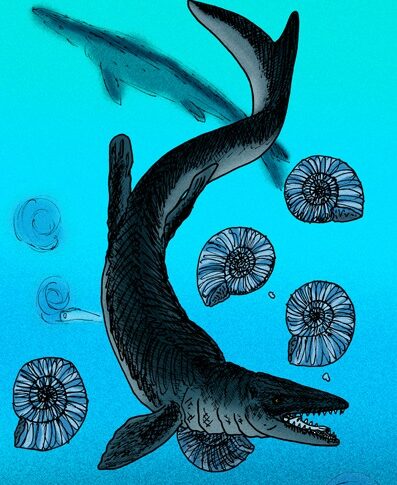 モササウルスはなぜ海を制覇できたのか｜進化した身体の仕組みを研究データから読む
