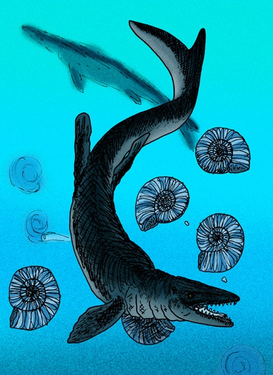 アンモナイトや魚を捕食するモササウルス（Mosasaurus hoffmannii）の生態復元イラスト