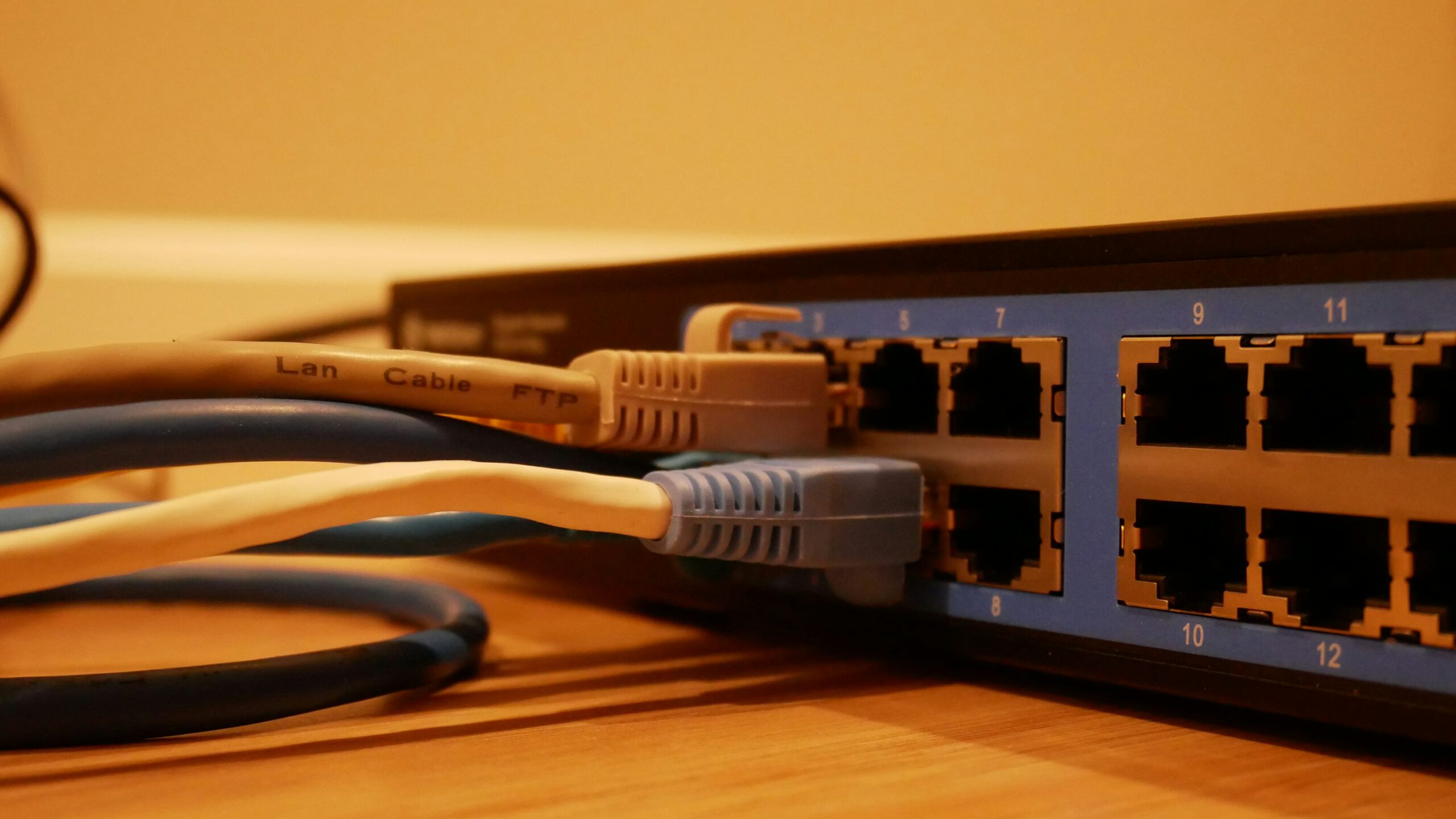 LANケーブルがスイッチングハブのポートに複数接続されている様子