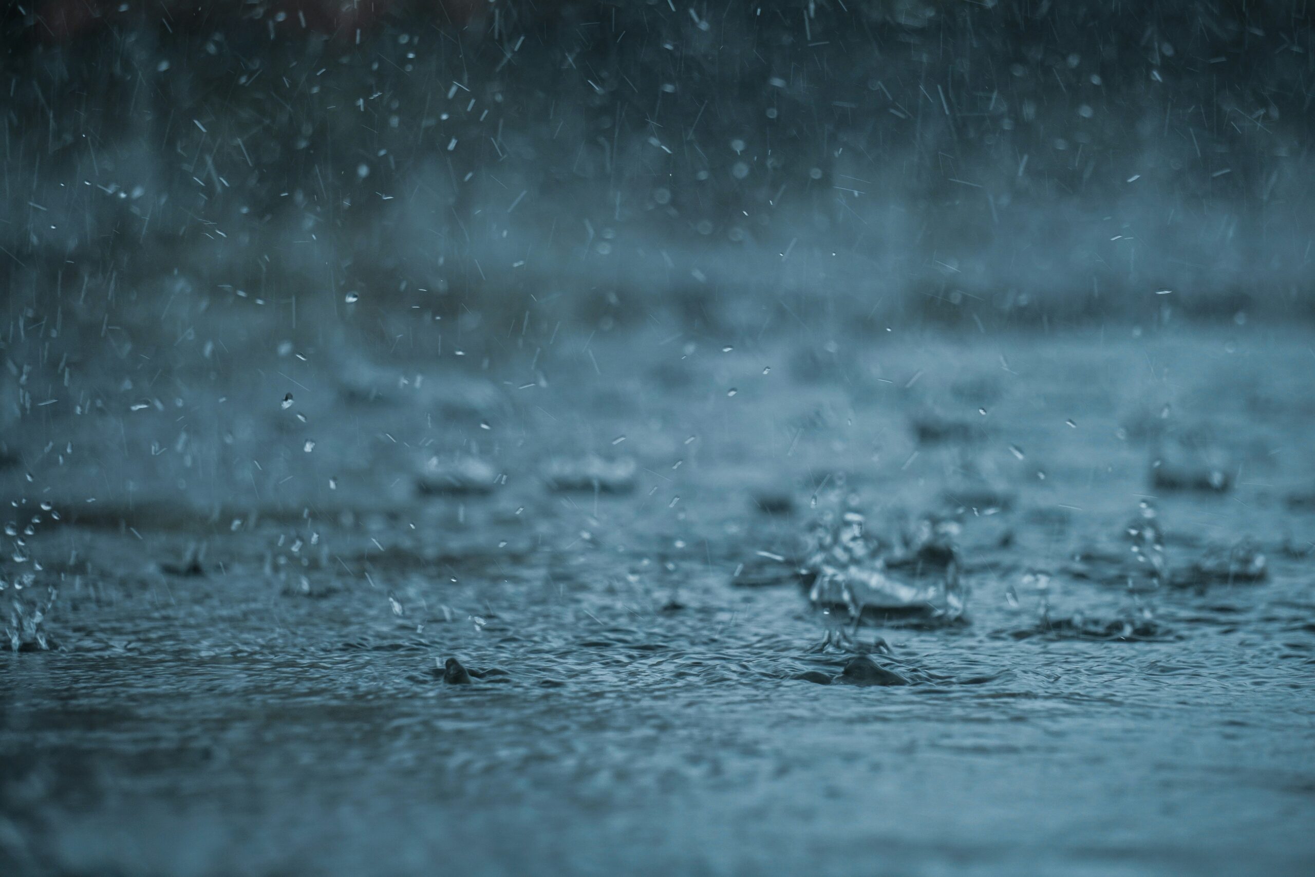 激しい雨が水面に打ち付ける様子