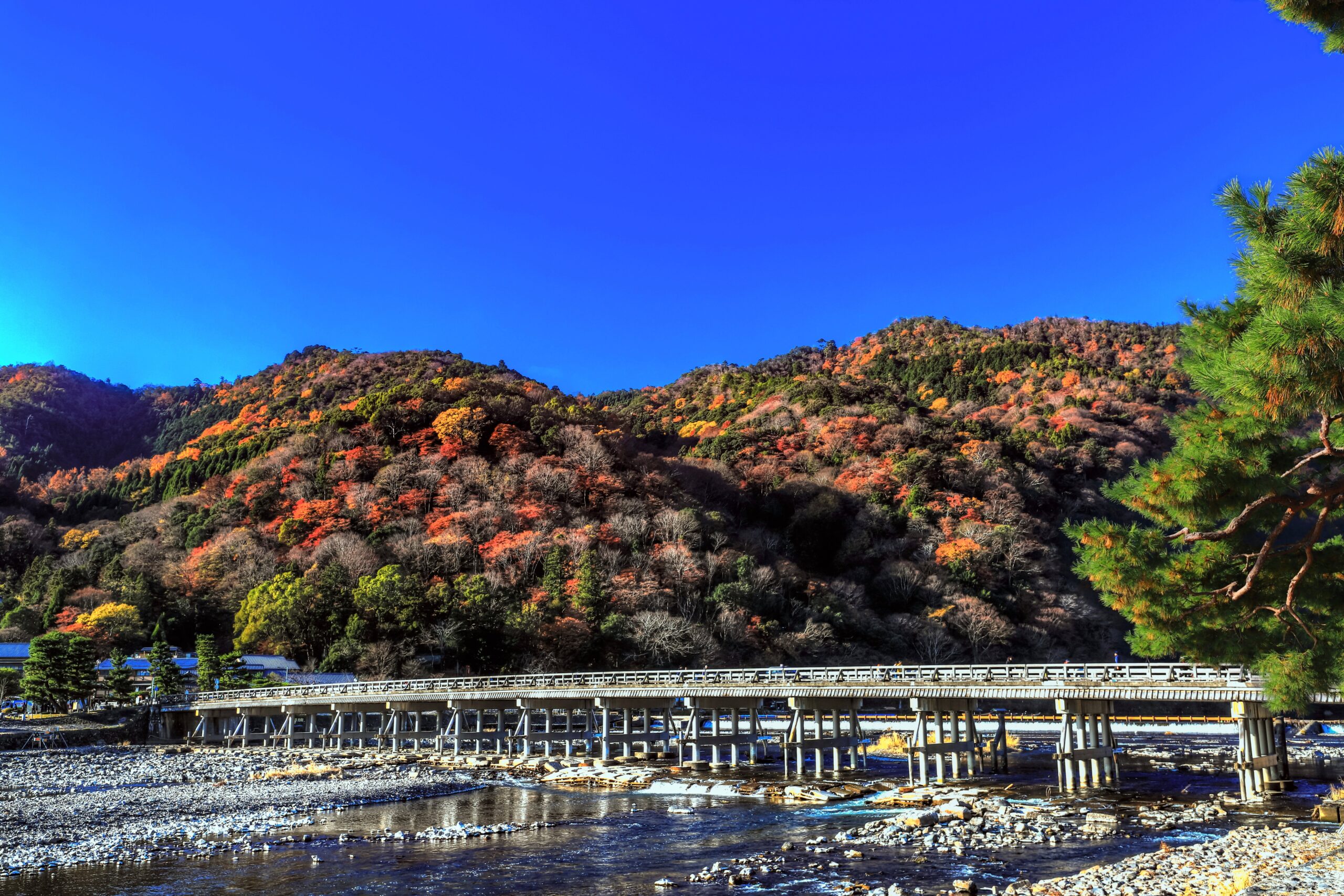 渡月橋と紅葉