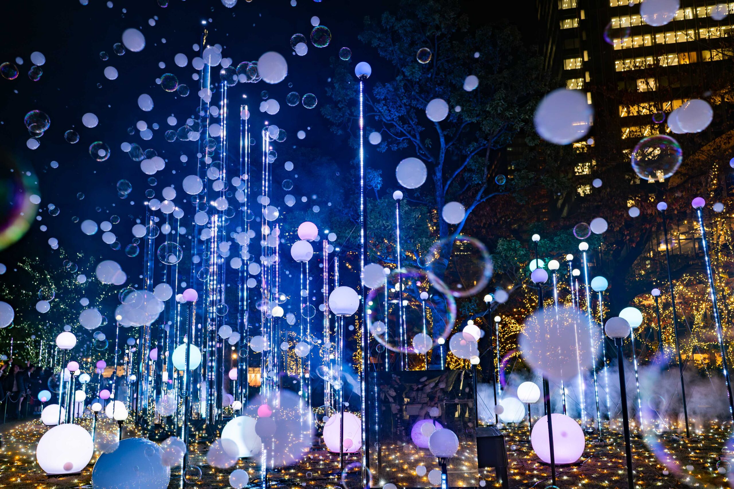 MIDWINTER LIGHTS(昨年の様子)