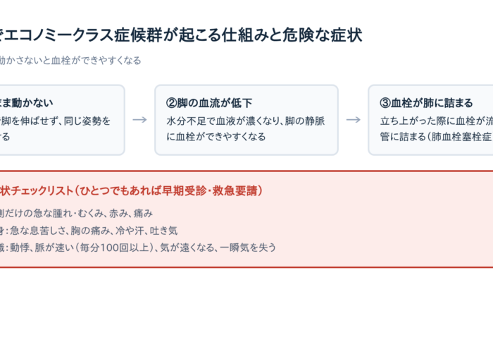 車中泊避難でエコノミークラス症候群を防ぐ座席配置と対策5ステップ【今日からできるチェックリスト】