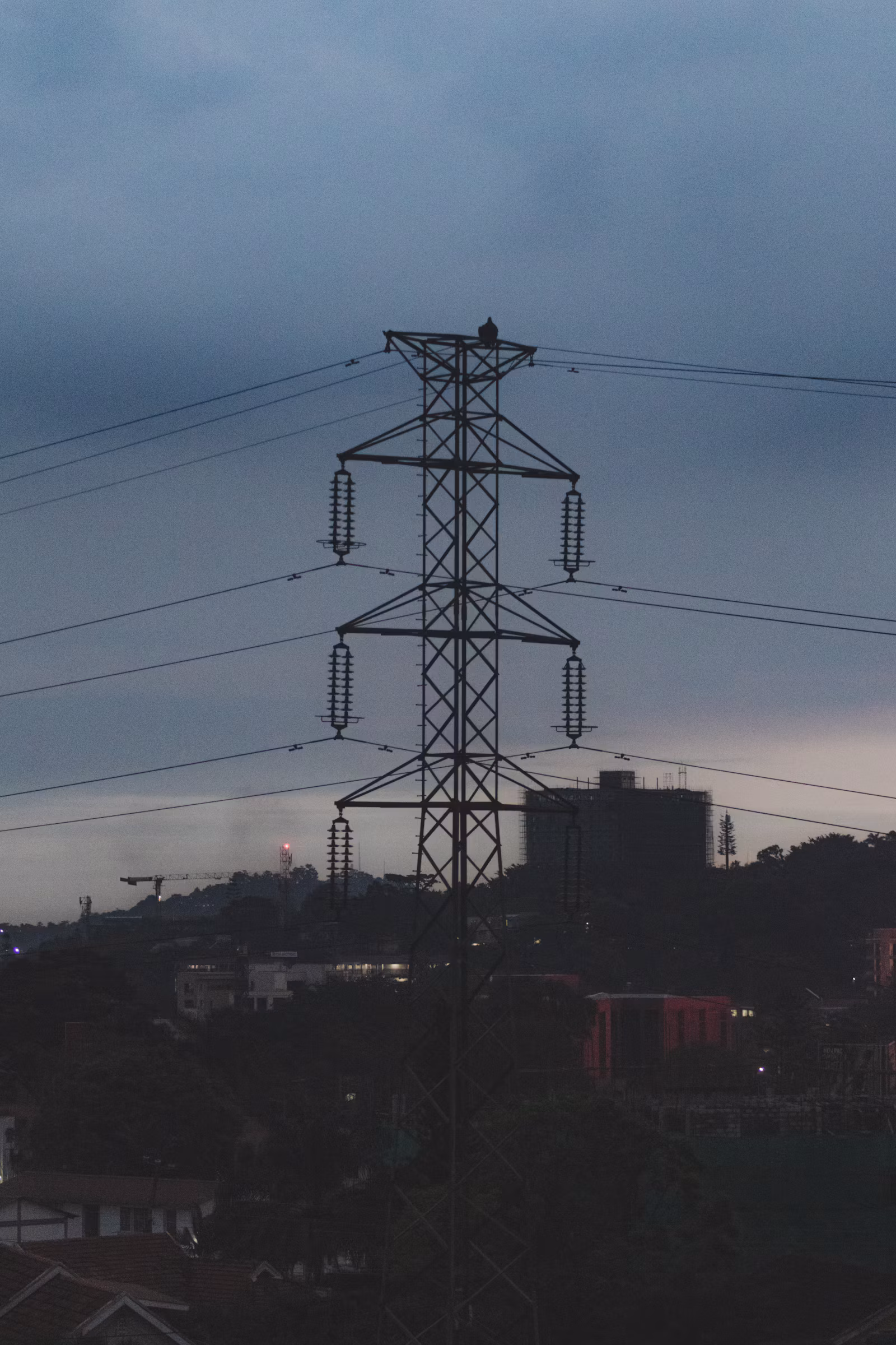 送電線の鉄塔。今回の改定は送配電網の利用料（託送料金）の見直しが理由